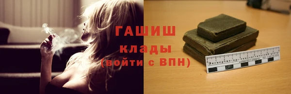 прущие грибы Абинск