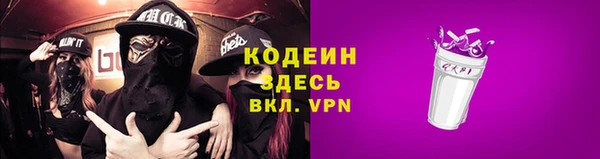 прущие грибы Абинск
