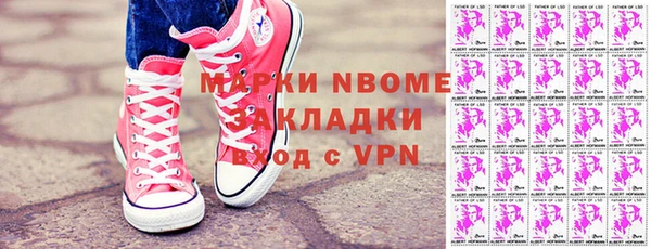 прущие грибы Абинск