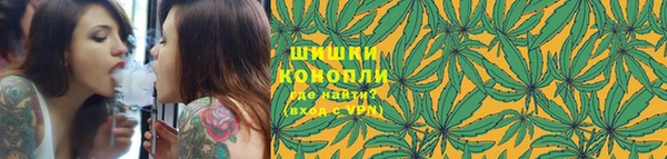 прущие грибы Абинск