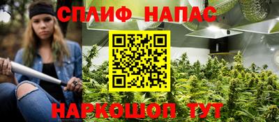 трава Чебаркуль
