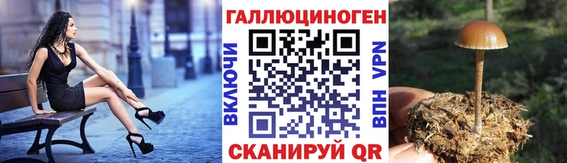 Галлюциногенные грибы MAGIC MUSHROOMS  omg   Мегион 