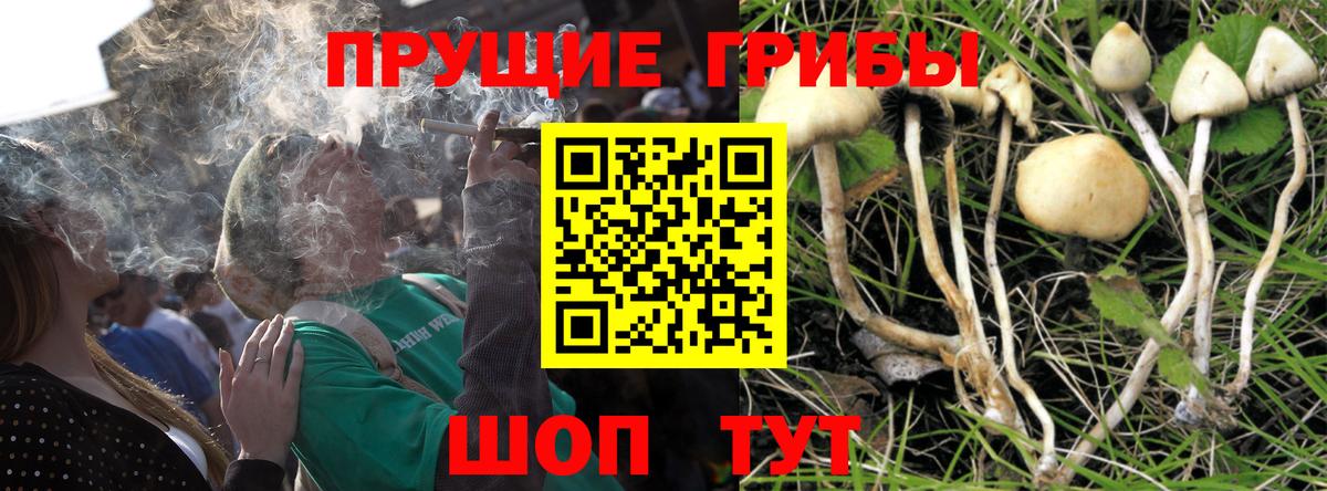 Галлюциногенные грибы Magic Shrooms Мегион