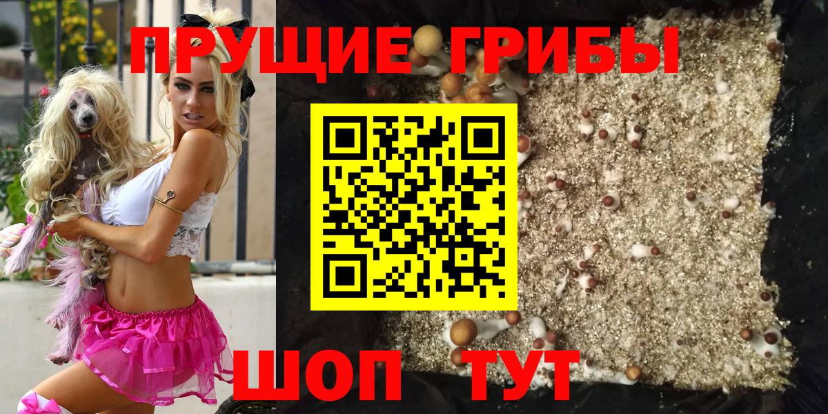Мегион  закладки  Галлюциногенные грибы прущие грибы  Вход с VPN  Галлюциногенные грибы GOLDEN TEACHER 